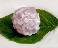 紫陽花