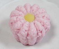冬菊